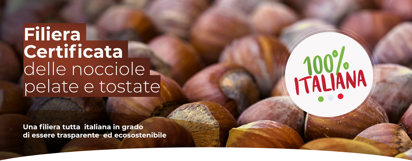 filiera nocciole