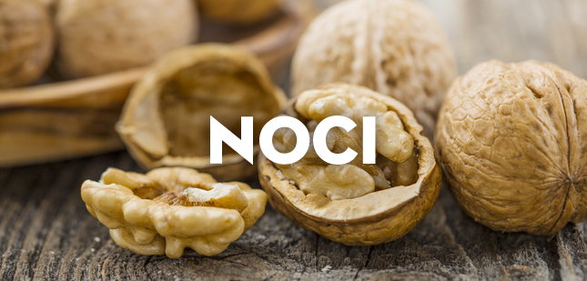 noci